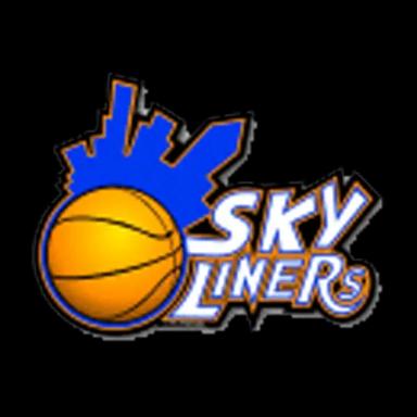 SKYLINERS Logo