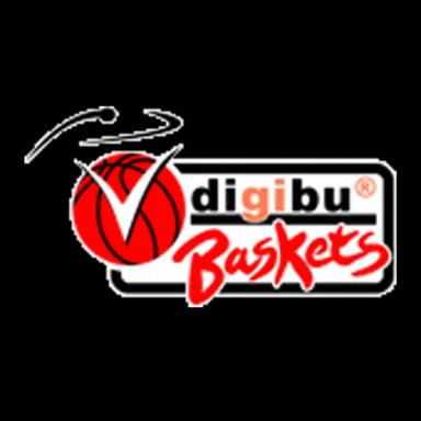 webmoebel Baskets Logo