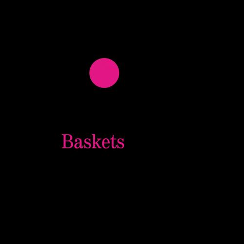 Telekom Baskets Bonn logo