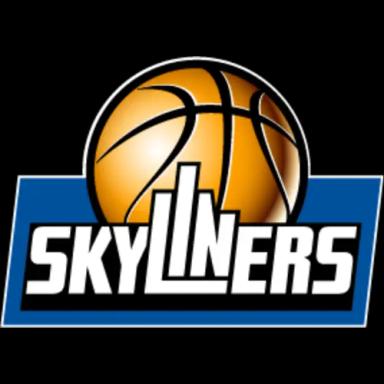 SKYLINERS logo