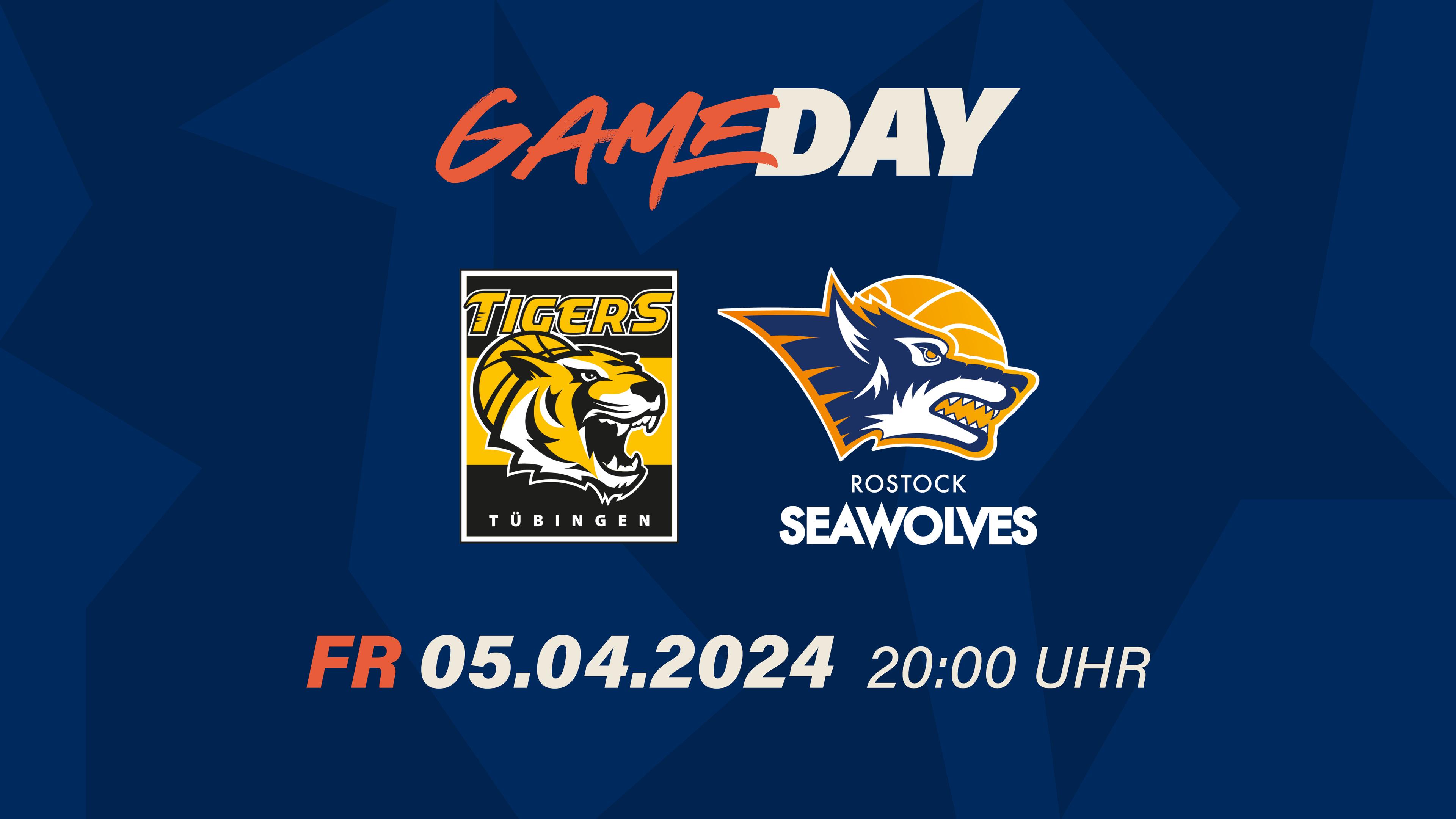 Die Tigers Tübingen und die ROSTOCK SEAWOLVES sind neben Ludwigsburg und Crailsheim zwei der vier Teams, die sich in den letzten Märztagen vor Ende der Wechselphase noch verstärkt haben. Tübingen holte den erfahrenen Guard Frank Gaines, der 2016/17 bereits in Vechta gespielt hat. Die eigentliche Sensation für diese Partie ist aber die Nachverpflichtung der Seewölfe, denn die lotsten Augustine Rubit nach Rostock (vorbehaltlich der Ergebnisse der medizinischen Checks). Der vielseitige Big Man ist vor allem für seine starken Jahre in Ulm und bei den Euroleague-Teams in Bamberg, Piräus, Kaunas und zuletzt München bekannt, doch er startete seine grandiose Profikarriere vor zehn Jahren in … Tübingen. Nun könnte der damalige Topscorer der Tigers zurück in die Paul-Horn-Arena kehren, um seinem ersten Arbeitgeber eine Niederlage im Abstiegskampf zu bescheren. Abzuwarten bleibt in welcher Form der 34-Jährige ist, nachdem er im Februar 2023 bei den Bayern wegen einer Achillessehnenverletzung die Saison beendet hatte.